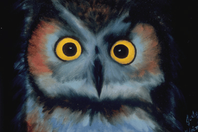 home-animals