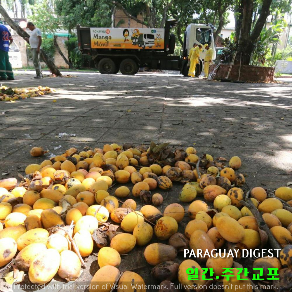 %eb%a7%9d%ea%b3%a0%eb%aa%a8%eb%b9%8c-2