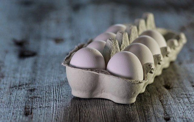 Telur