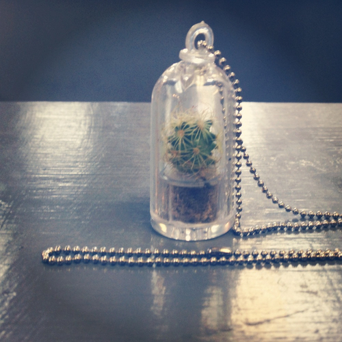 cactus necklace