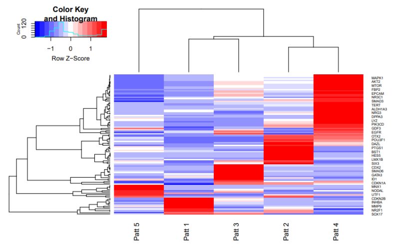 Nicnedwob Nicholas Bowden Github - Premium Minimal Texture - Desktop