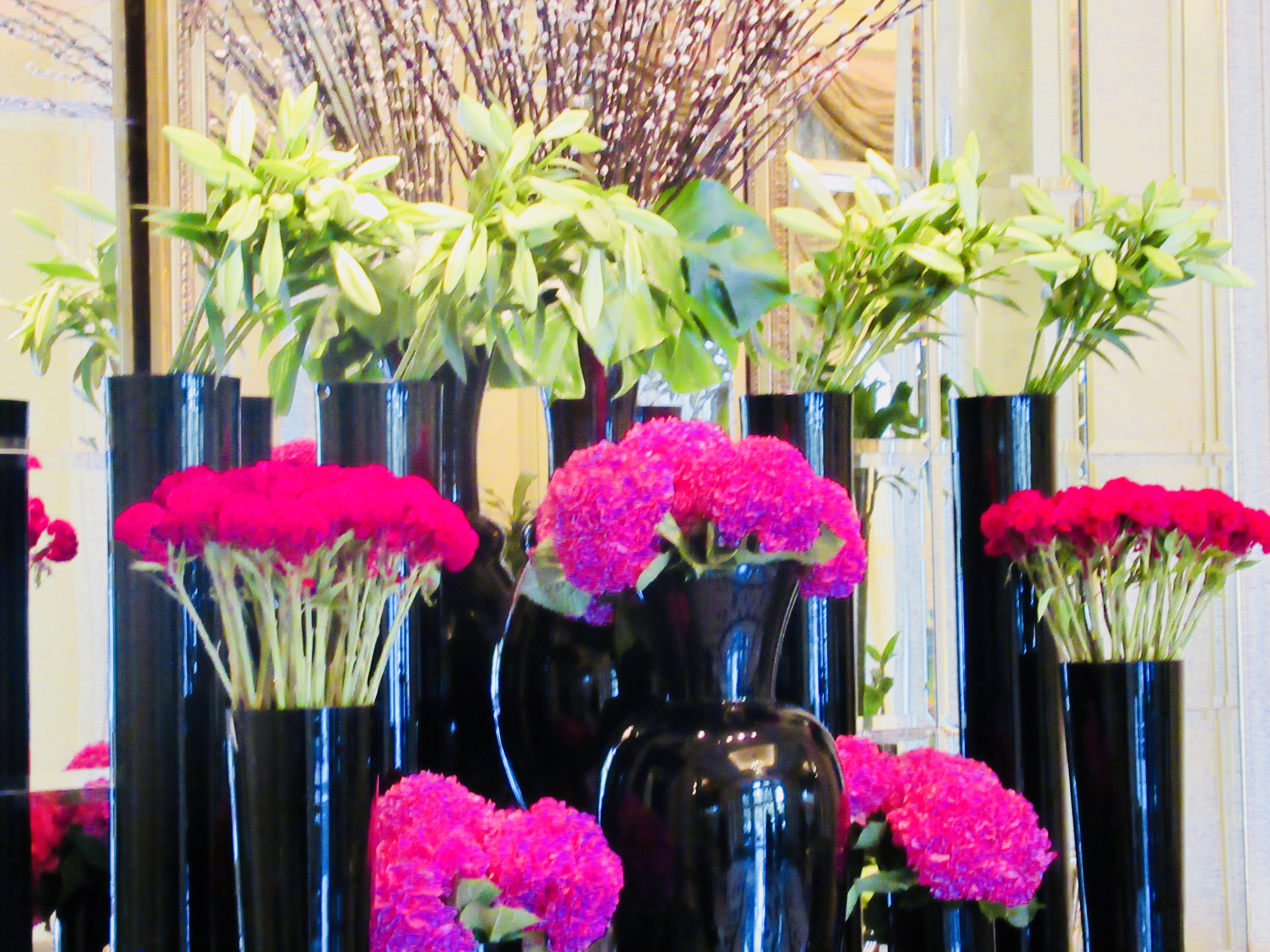 extraordinary flowers