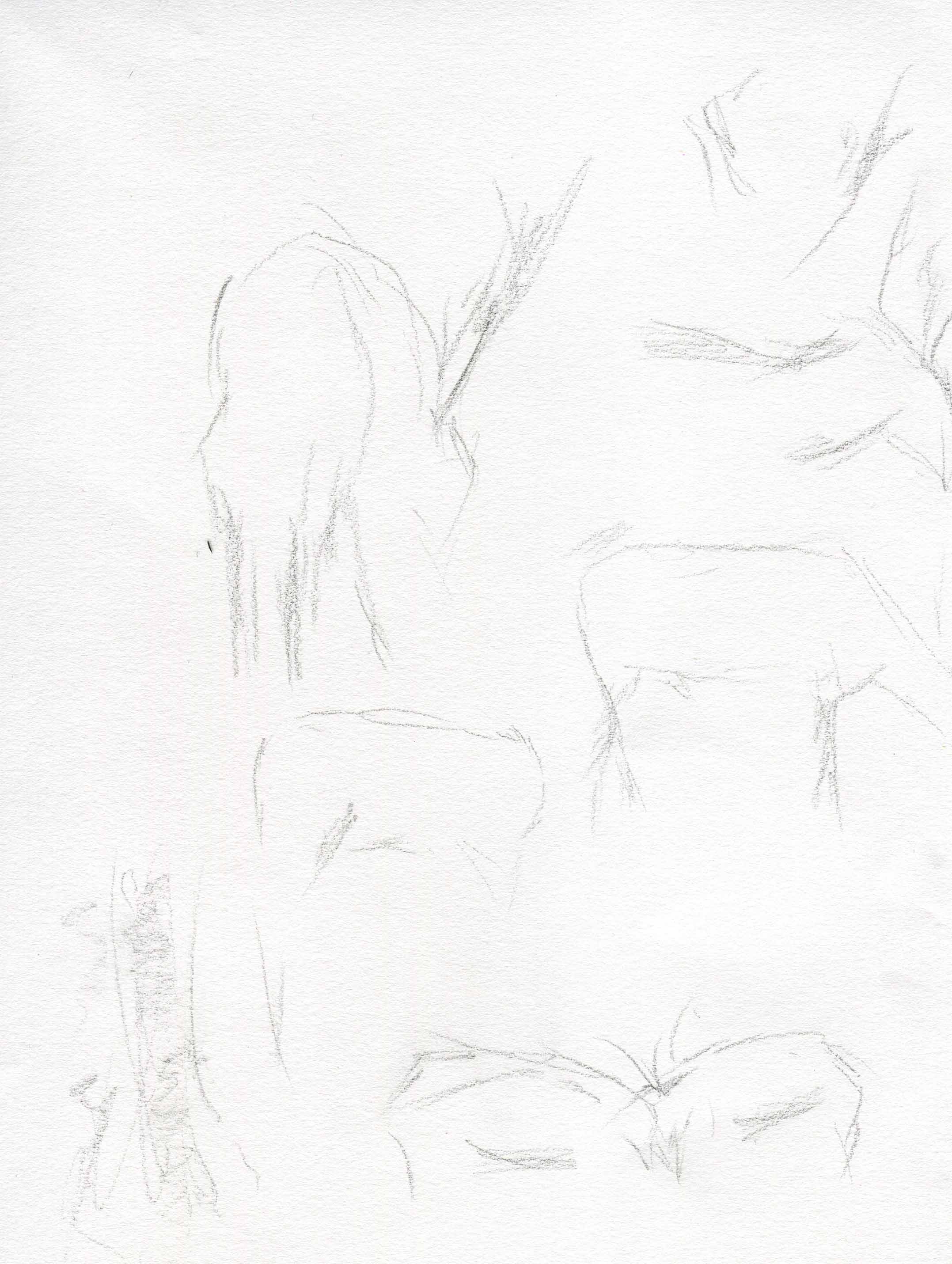 deer-sketch-blog-3