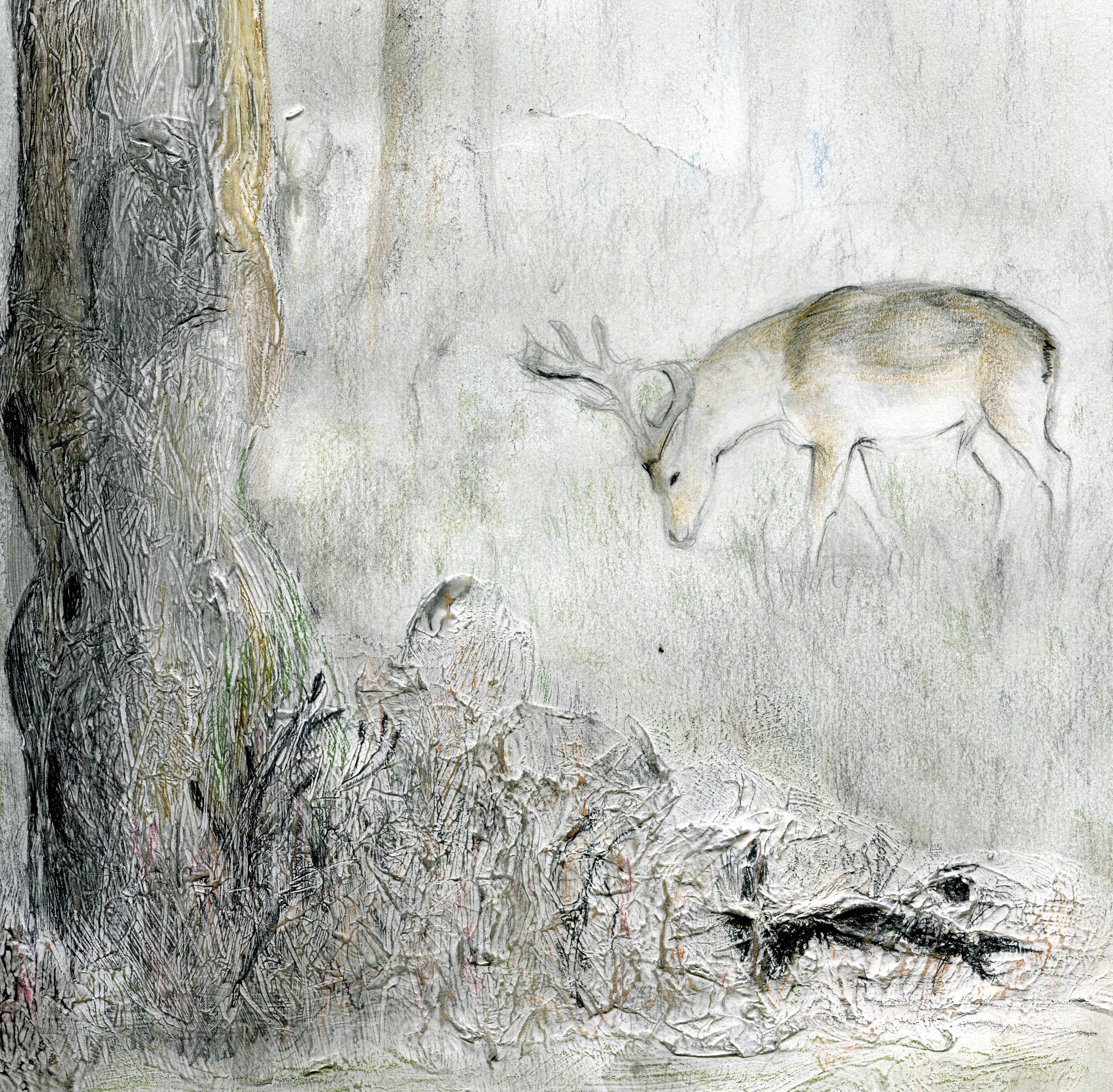 graphite-wood-blog