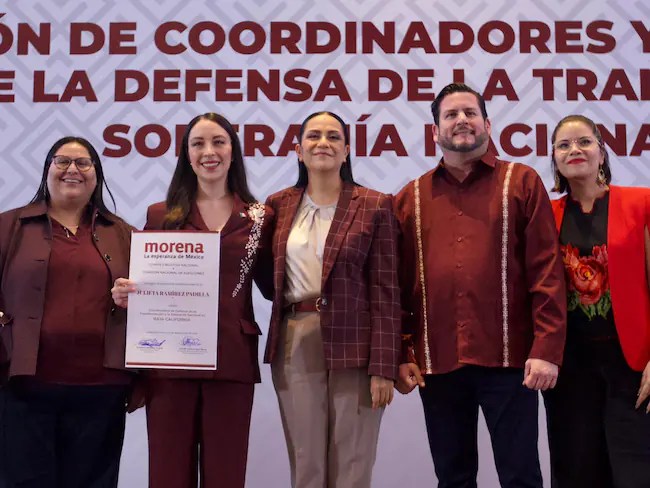 Morena define sus 17 Coordinaciones. Autor: Iñaki Fernández