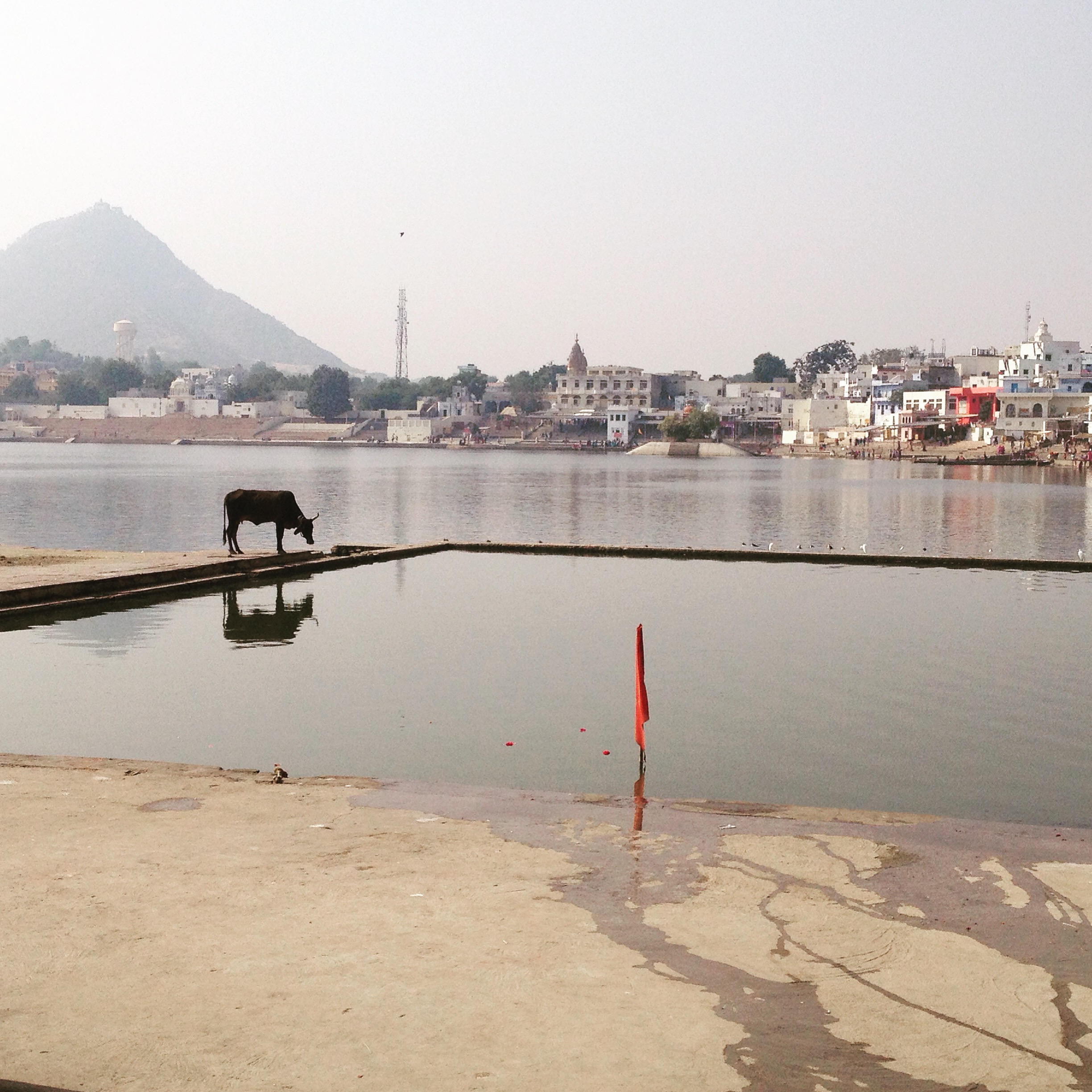 Pushkar lake