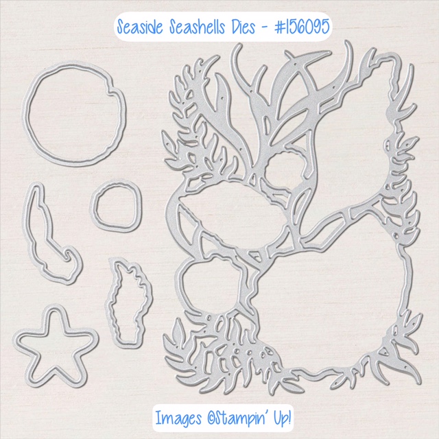 Seaside Seashells Dies