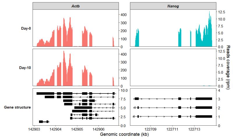 7 Coverage Plot Omicscope - City Textures - Classic Full HD Collection