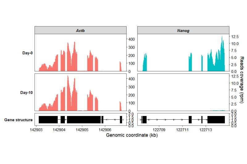 7 Coverage Plot Omicscope - Nature Patterns - Perfect Full HD Collection