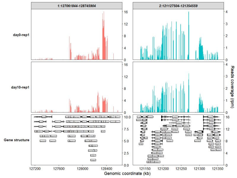 7 Coverage Plot Omicscope - Best Vintage Images in High Resolution