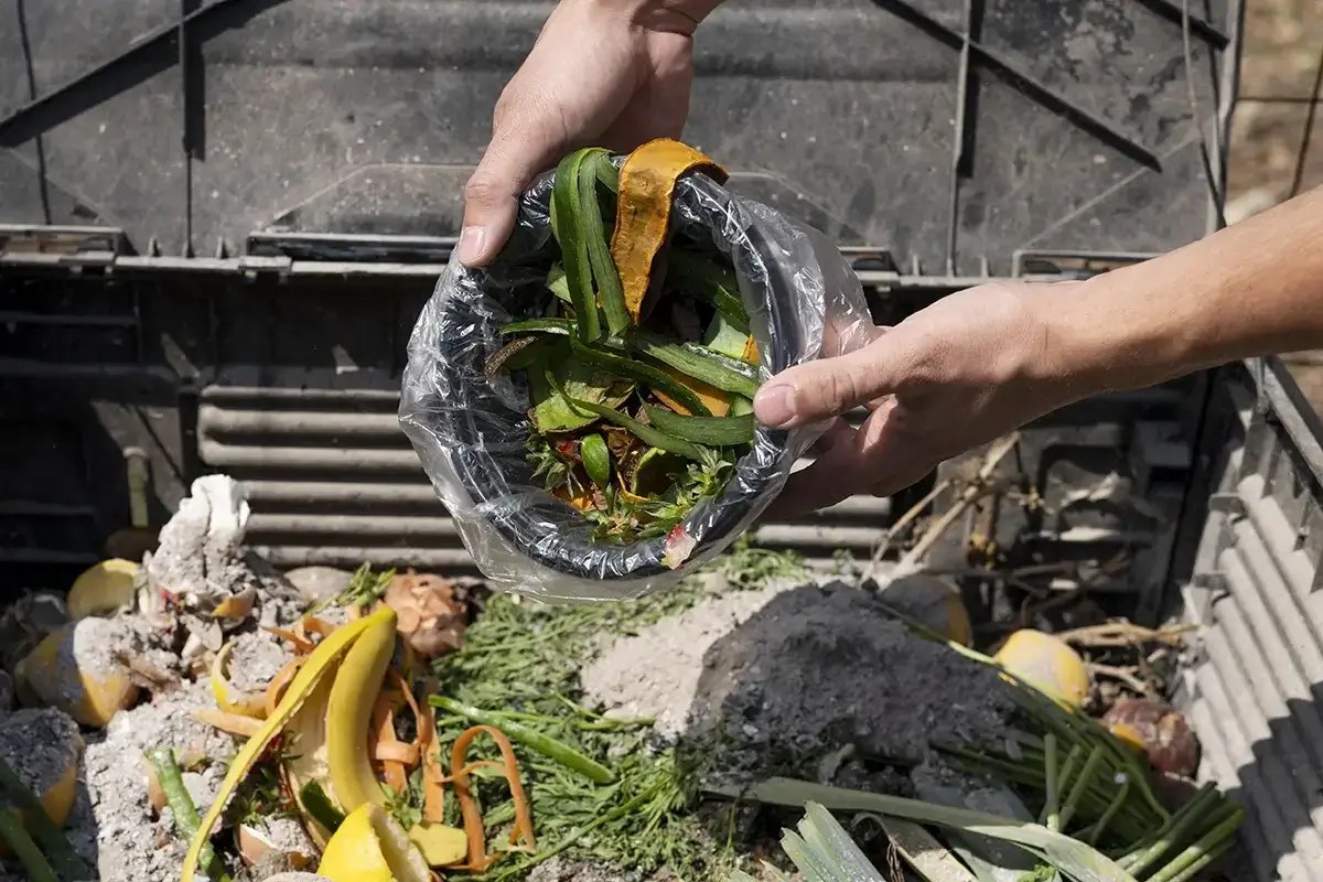 Waste and Disposal Services for Food Waste Solutions How to Save Money and the Planet Blog