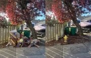 Before and after junk removal pickup by Junk Throw in Portland, Oregon