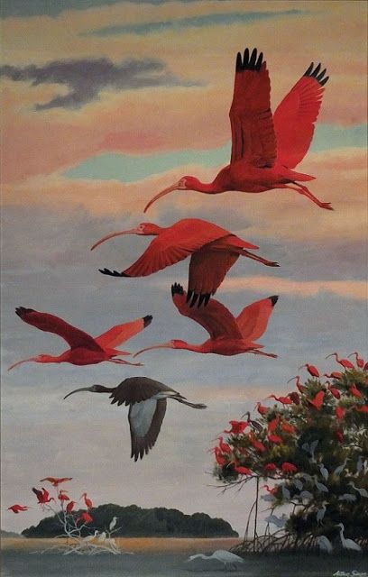 Arthur Singer - Flying Scarlet Ibis