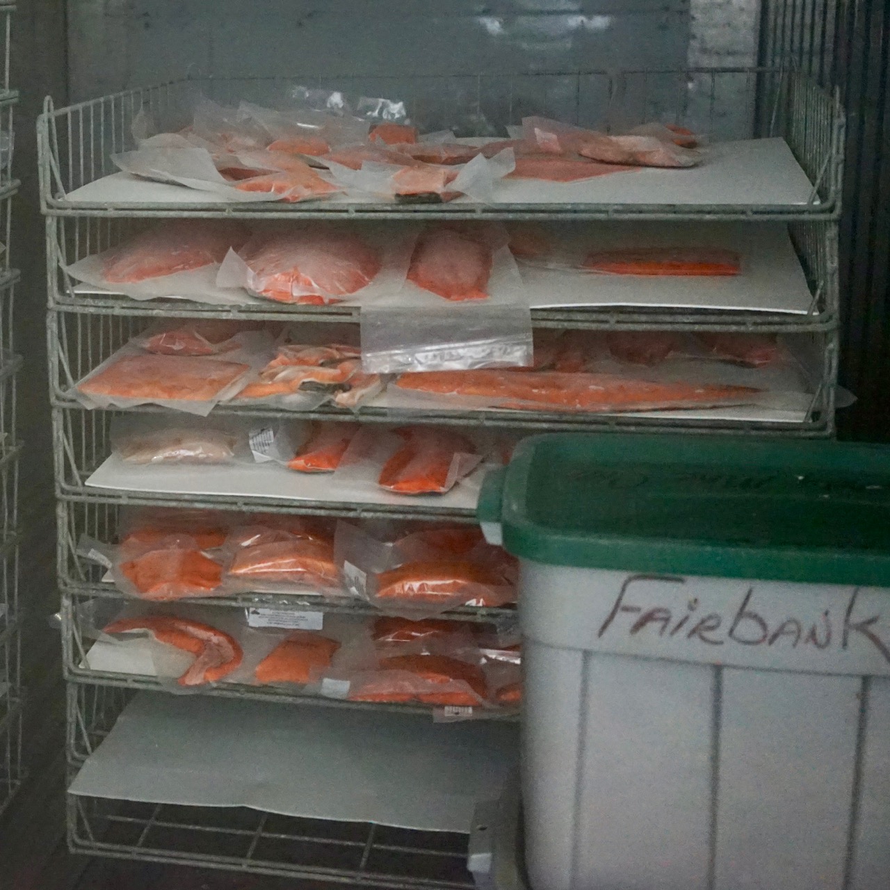 Packaged fish is fast-frozen in the Blast Freezer at -20 degrees