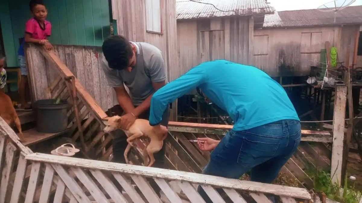 Foto: Reprodução