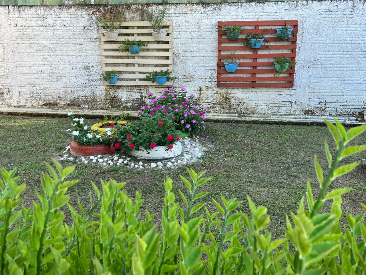 Foto: Reprodução - TJAC