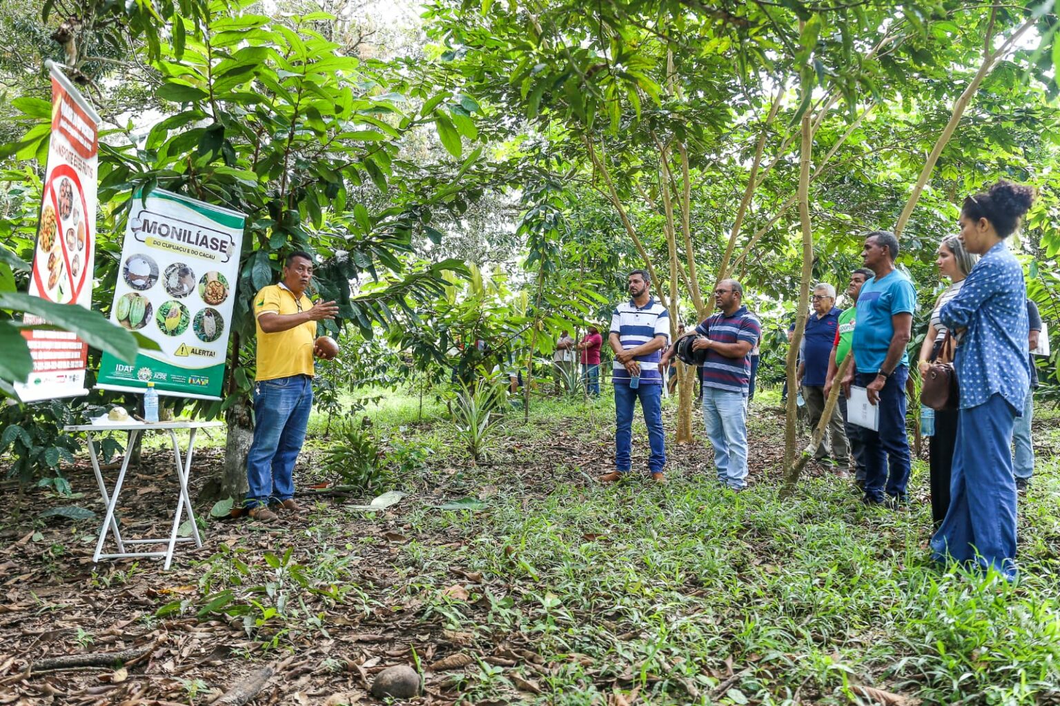 Em dia de campo, Idaf instrui produtores rurais para o manejo da Monilíase em lavouras de cacau e cupuaçu. Foto: Marcos Santos/Secom.
