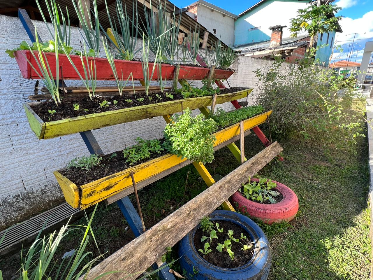 Foto: Reprodução - TJAC