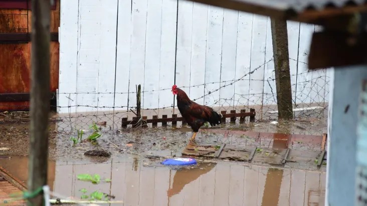 Crédito: DIOGO ZANATTA/FUTURA PRESS/FUTURA PRESS/ESTADÃO CONTEÚDO