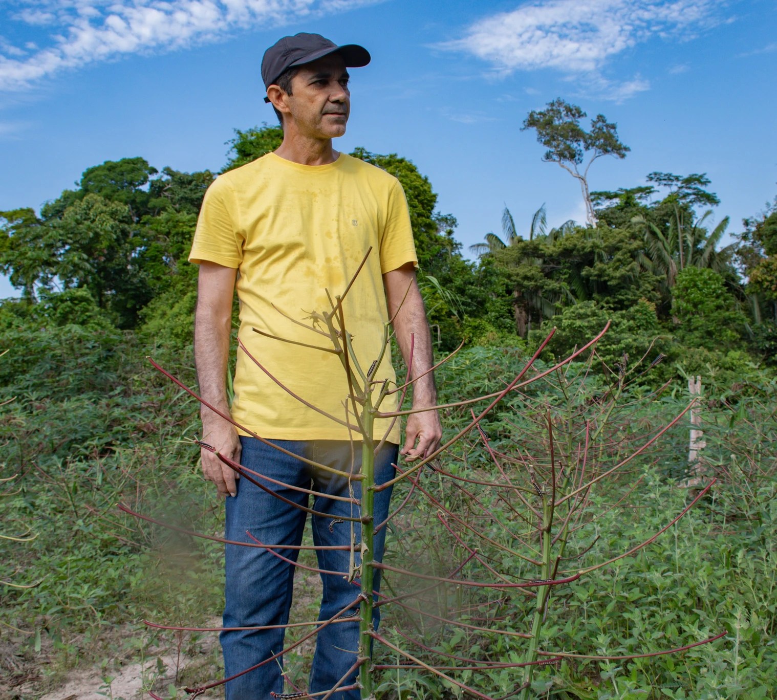 Prefeito Zequinha Lima diante de um pé de mandioca cujas folhas foram totalmente devoradas. Foto: Ascom