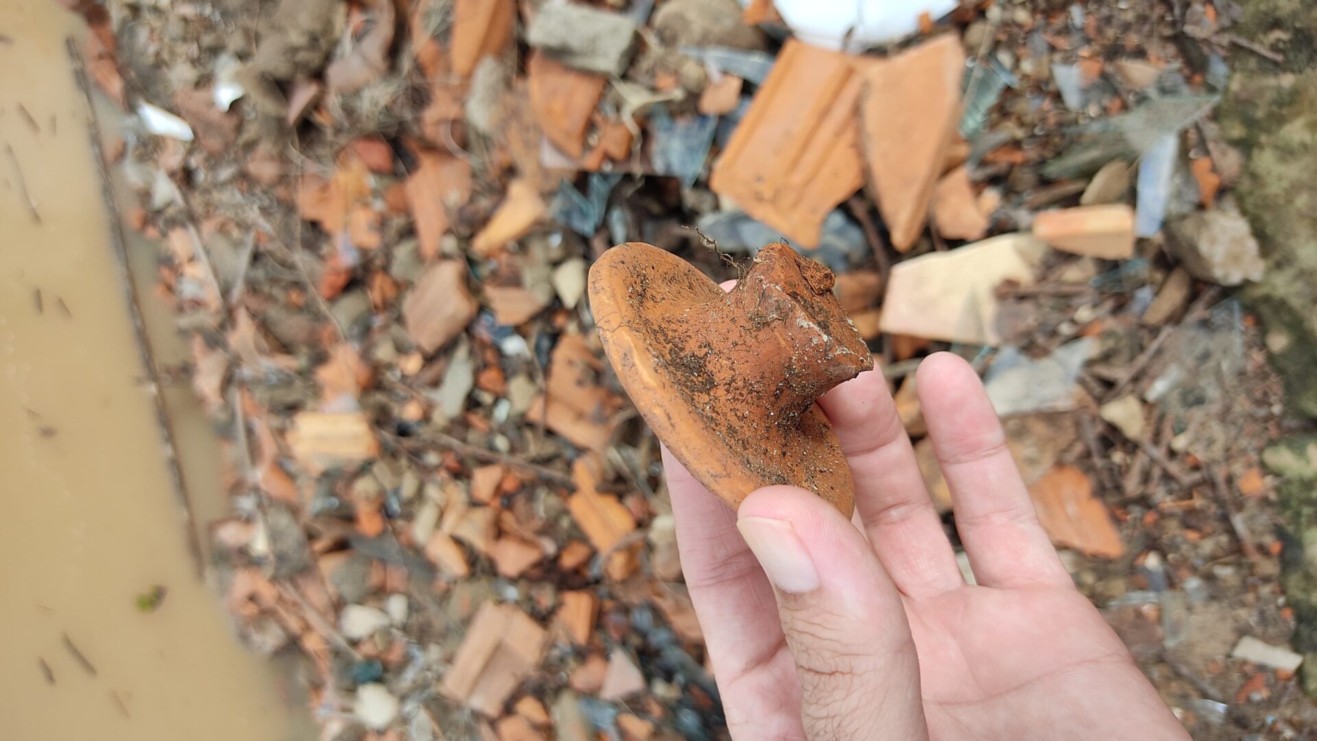 Foto: Walcimar Júnior