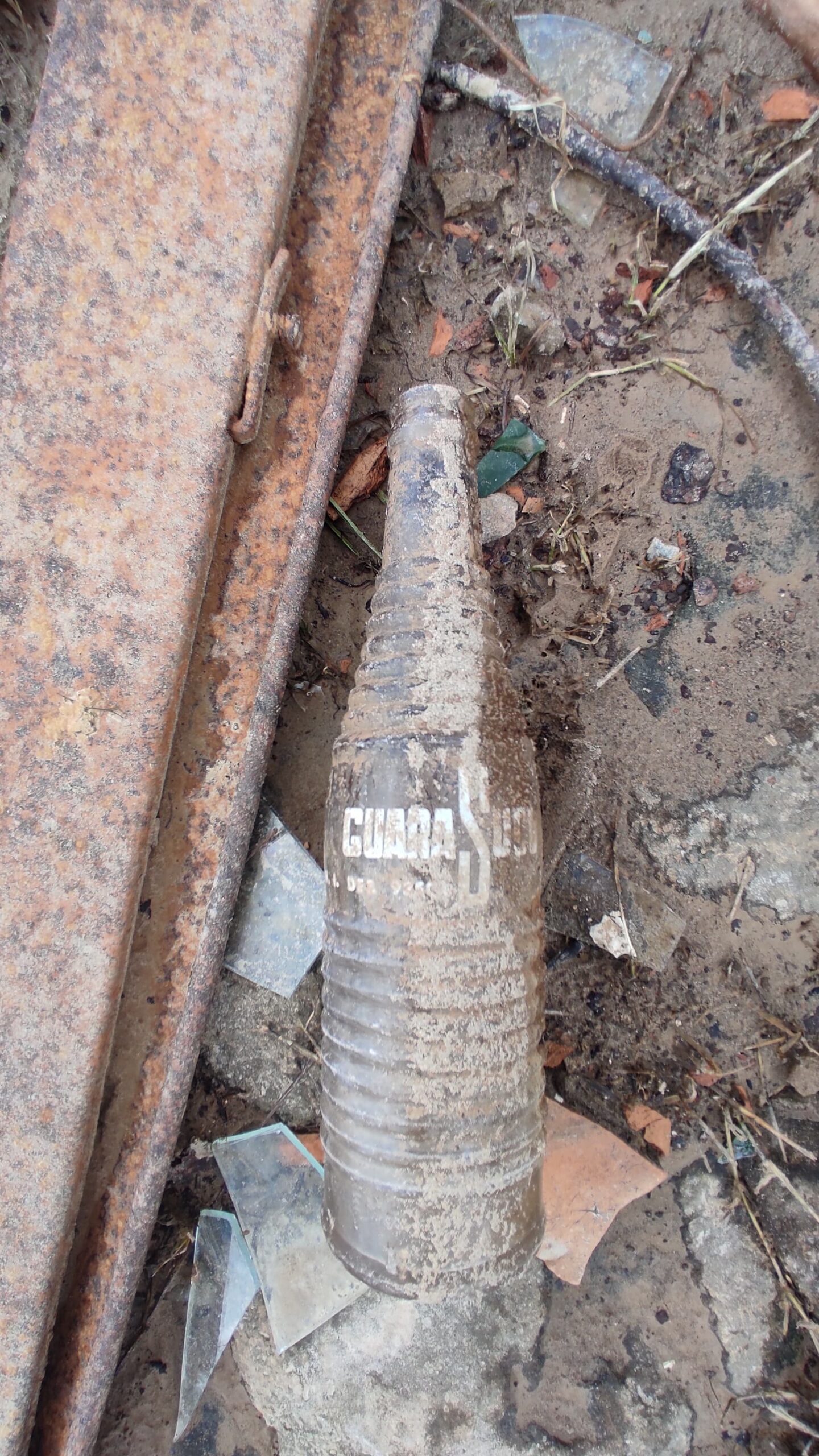 Foto: Walcimar Júnior