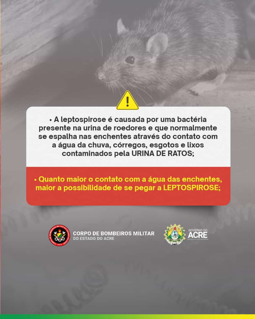 Foto: Sesacre