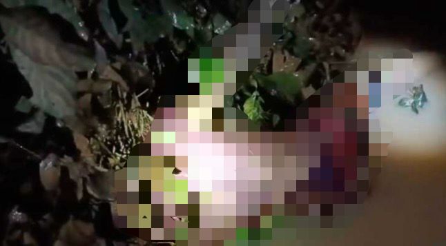 Os corpos foram levados para o IML/Foto: ContilNet