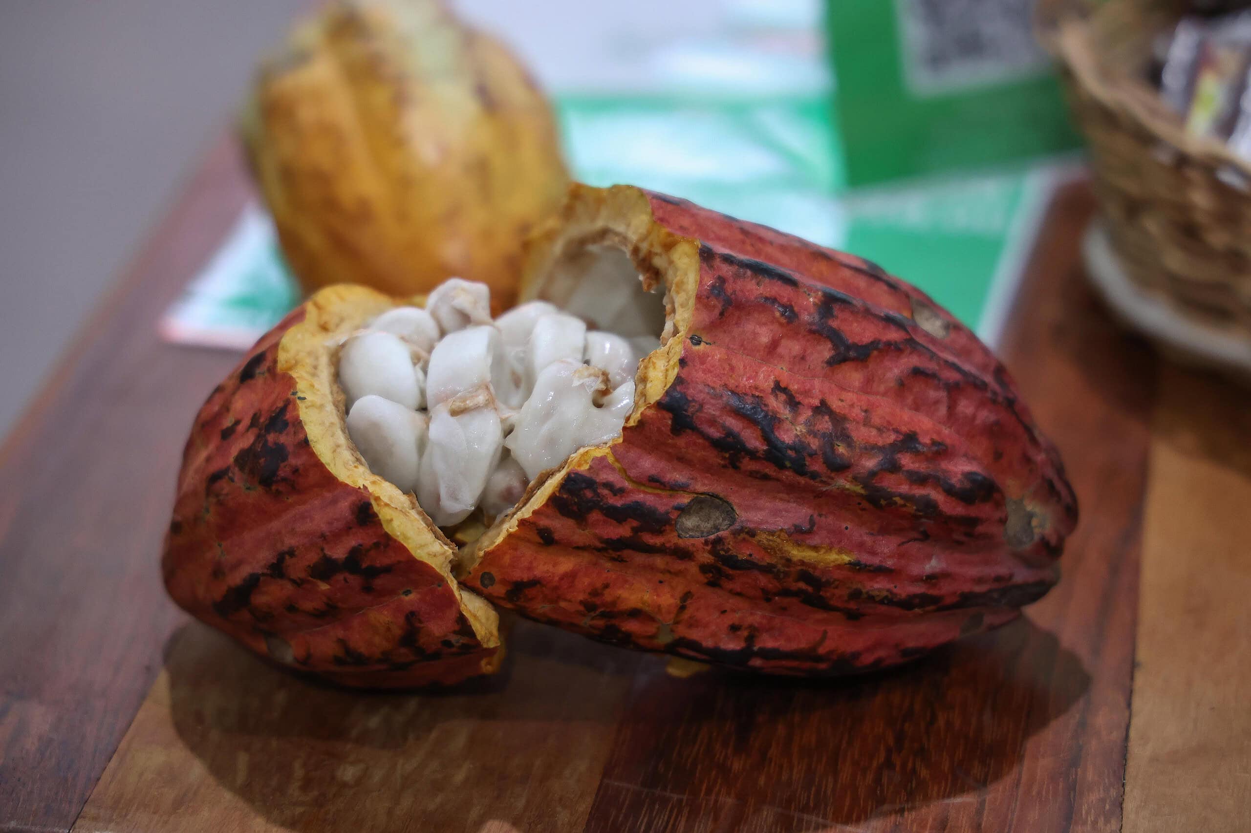 Foto: Pedro Devani/Secom