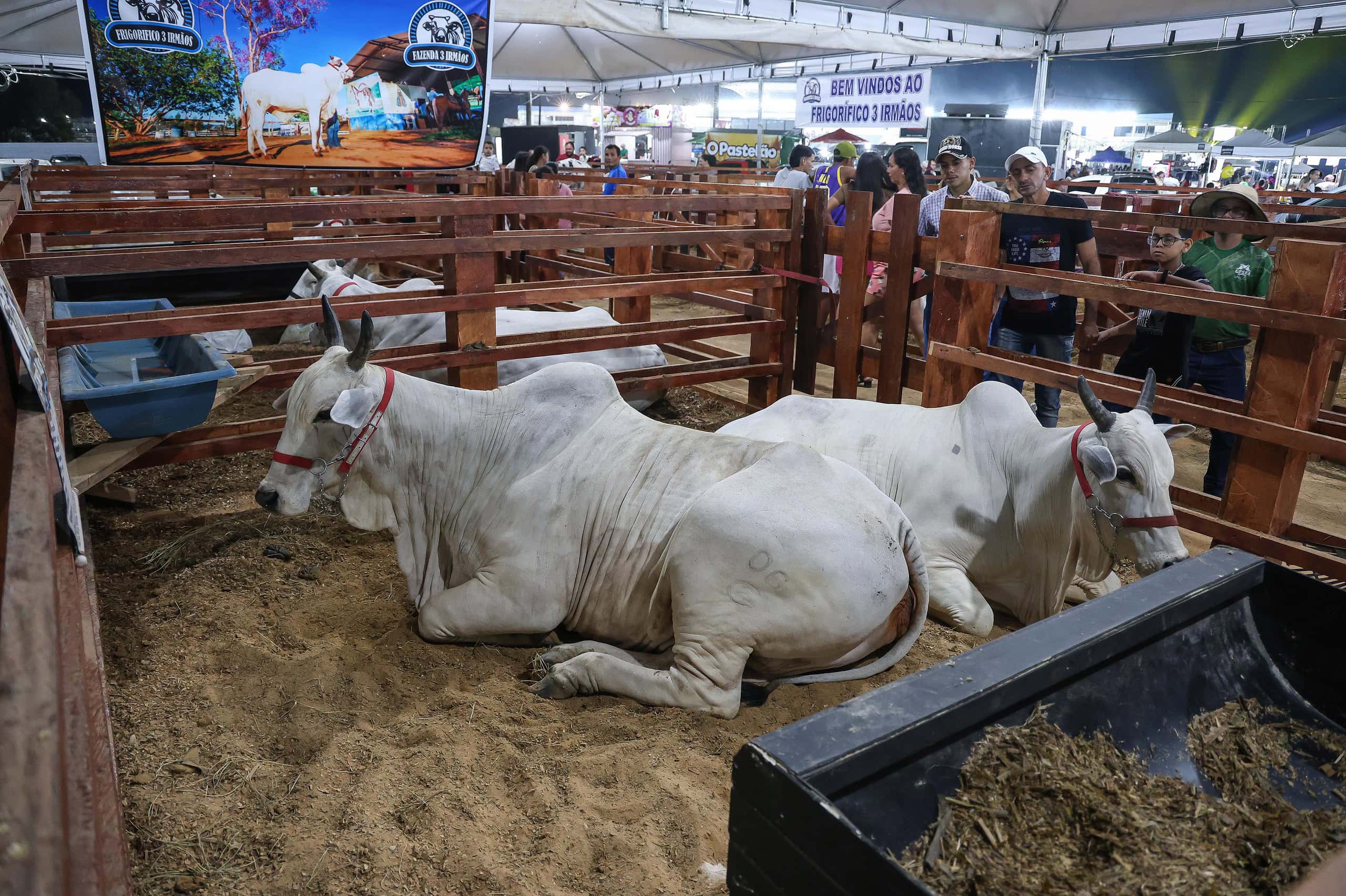 Foto: Pedro Devani/Secom