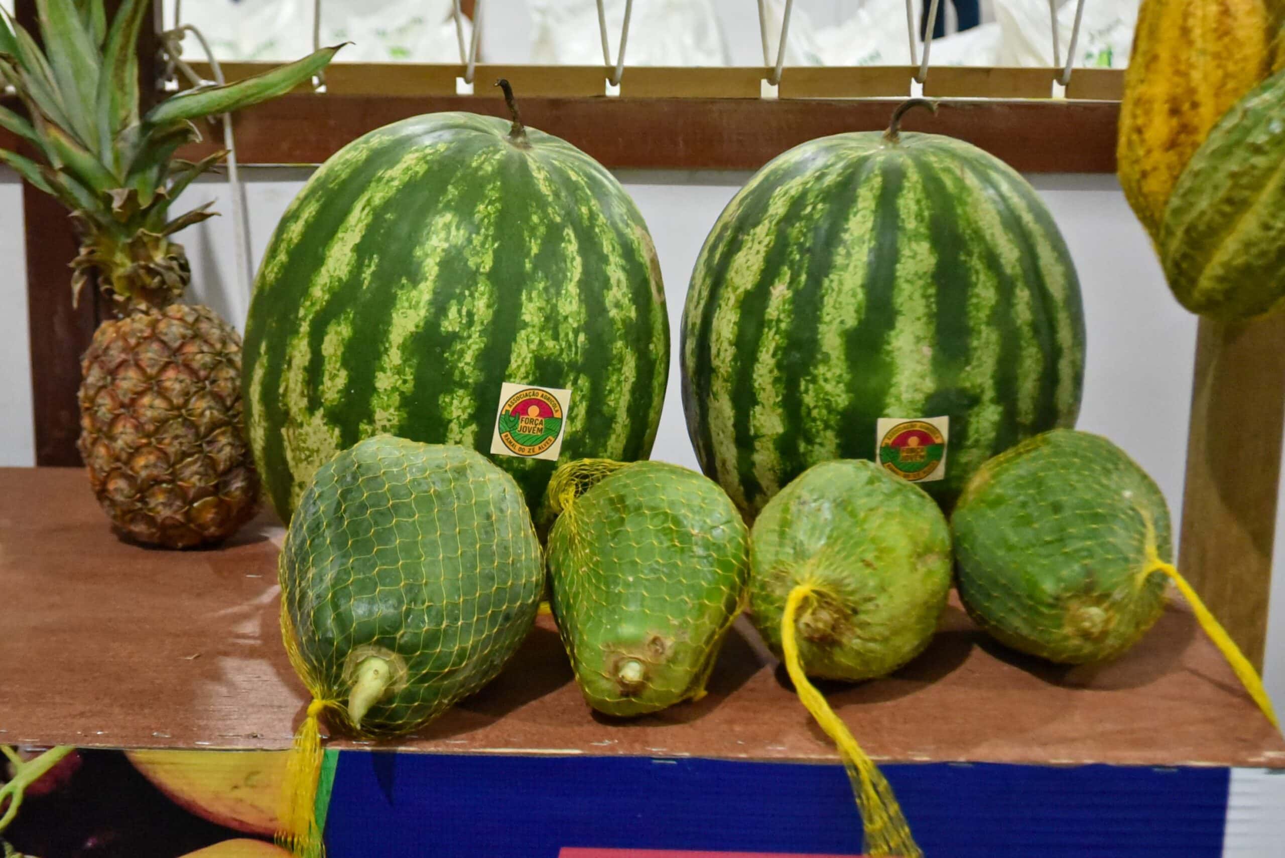 Foto: Raylanderson Frota / Secom