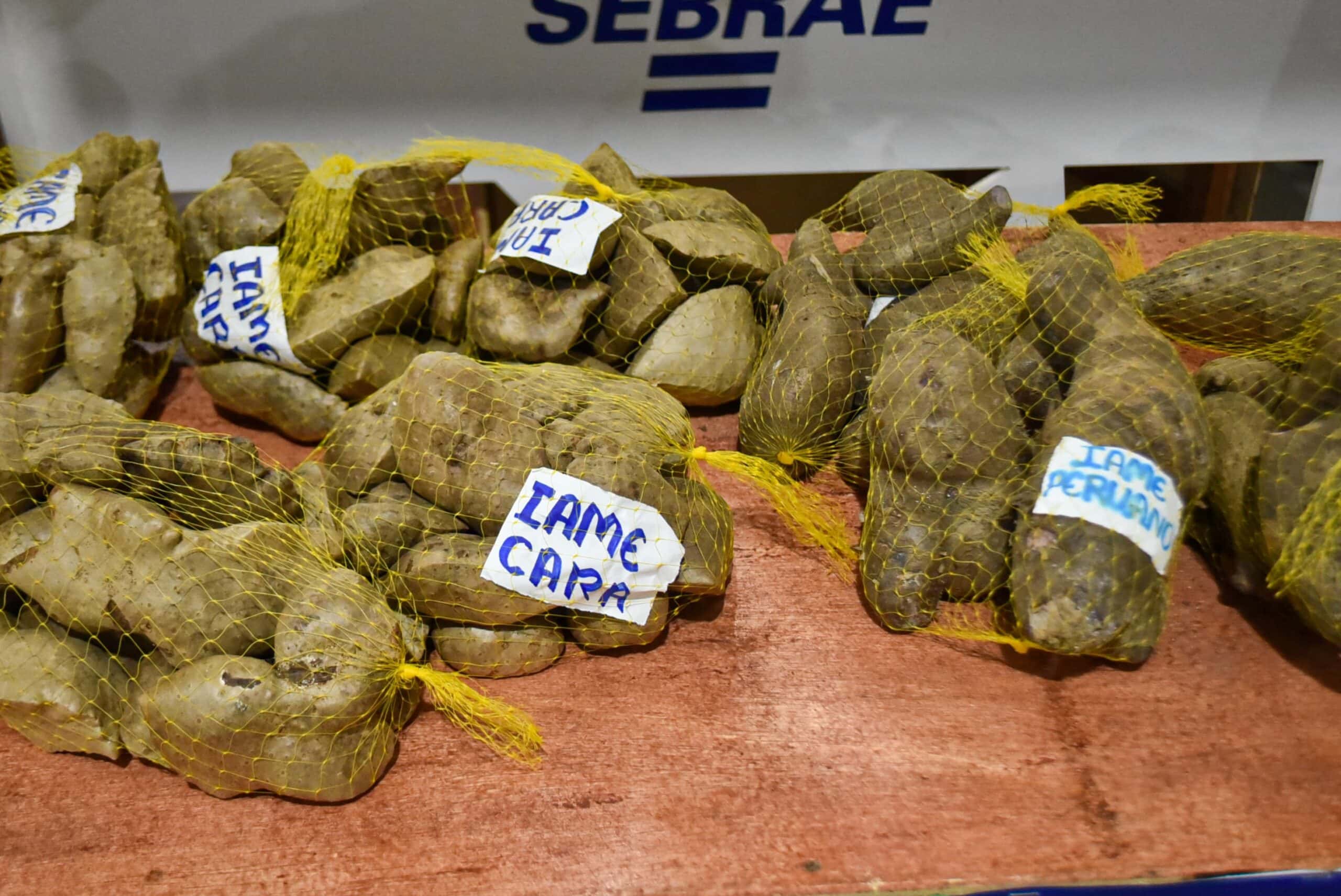 Foto: Raylanderson Frota / Secom