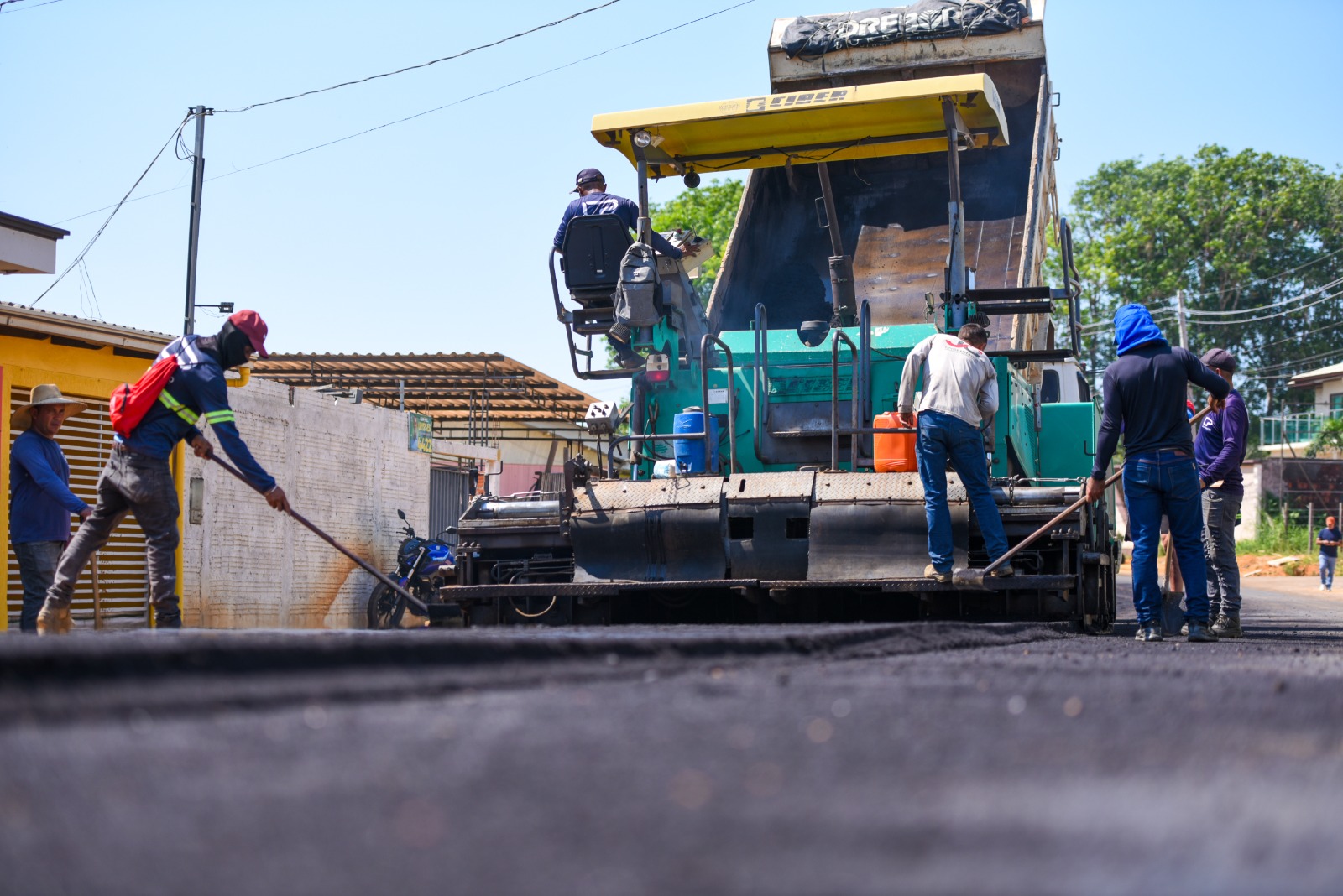 81