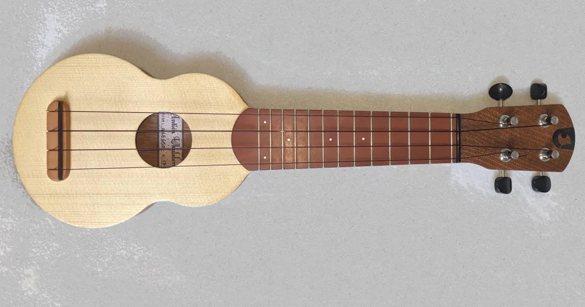China Joy Uk 21s Kit Soprano 21 Inch Sapele Ukulele Bundle With Gig Bag 2 Picks On Global Sources Soprano Nylon Strings FREE Shipping on orders over 25 shipped by Amazon.