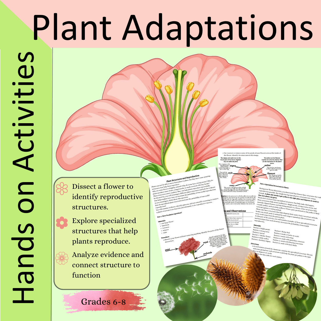 Plant Adaptations Hands On Activities for Middle School Science