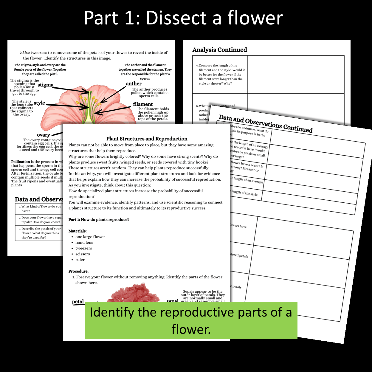 Plant Adaptations Hands On Activities for Middle School Science