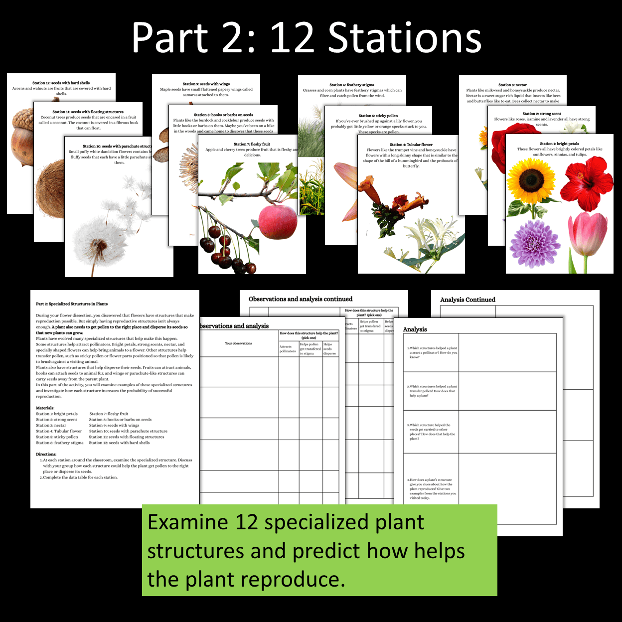 Plant Adaptations Hands On Activities for Middle School Science