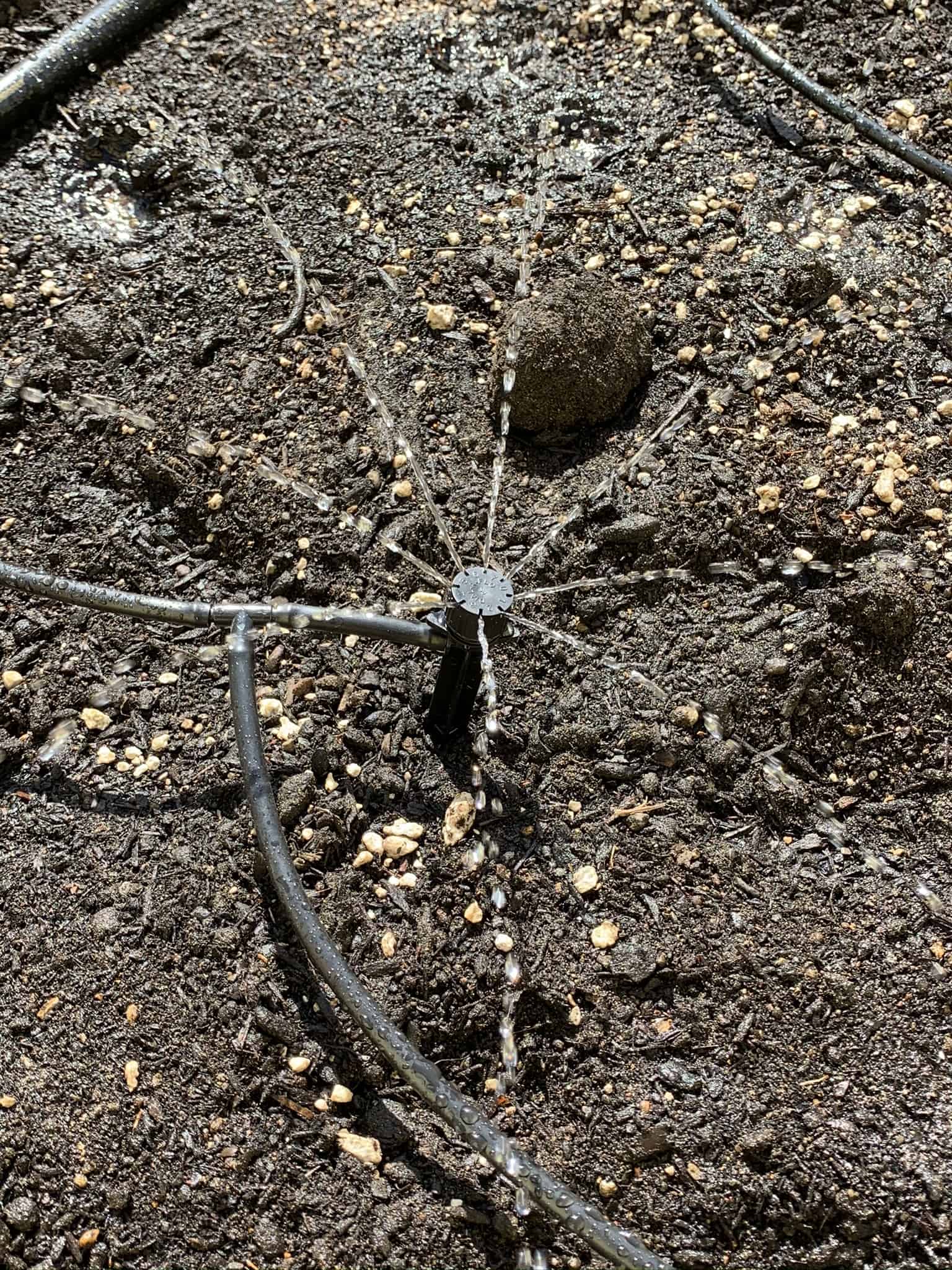 How to Install a Drip Irrigation System Just a Homeowner