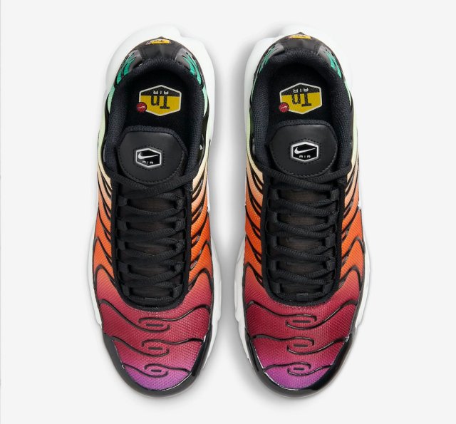 Nike Air Max Plus Rainbow