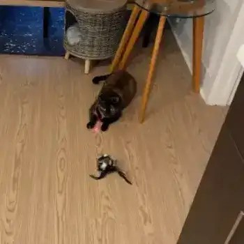 image-0181_jlarb0