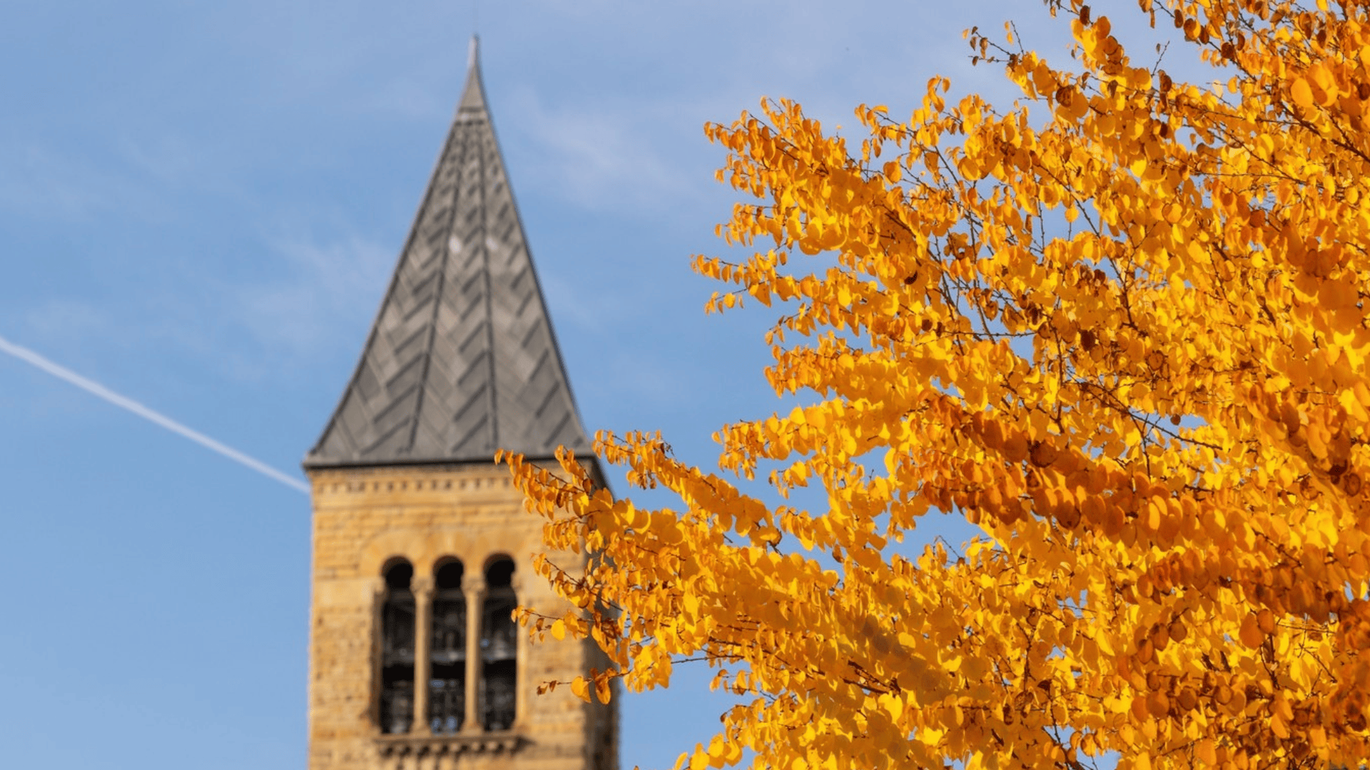 Cornell University Campus Image