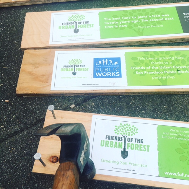 FUF Signs In Process.