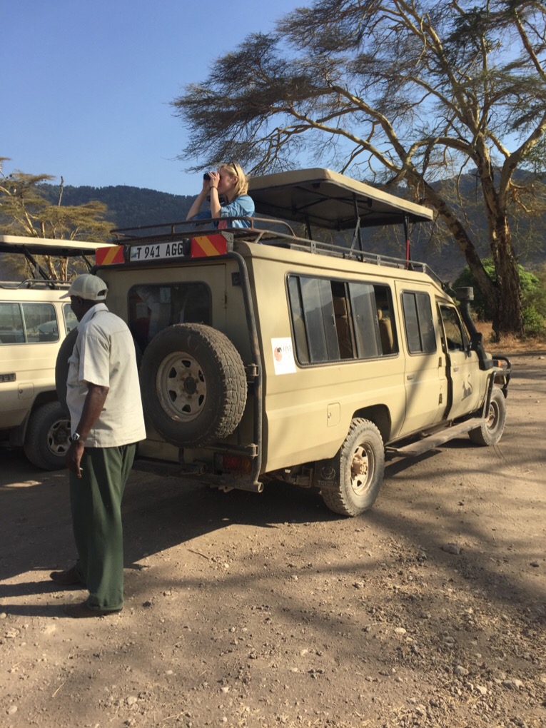 Ausschau halten - Serengeti NP
