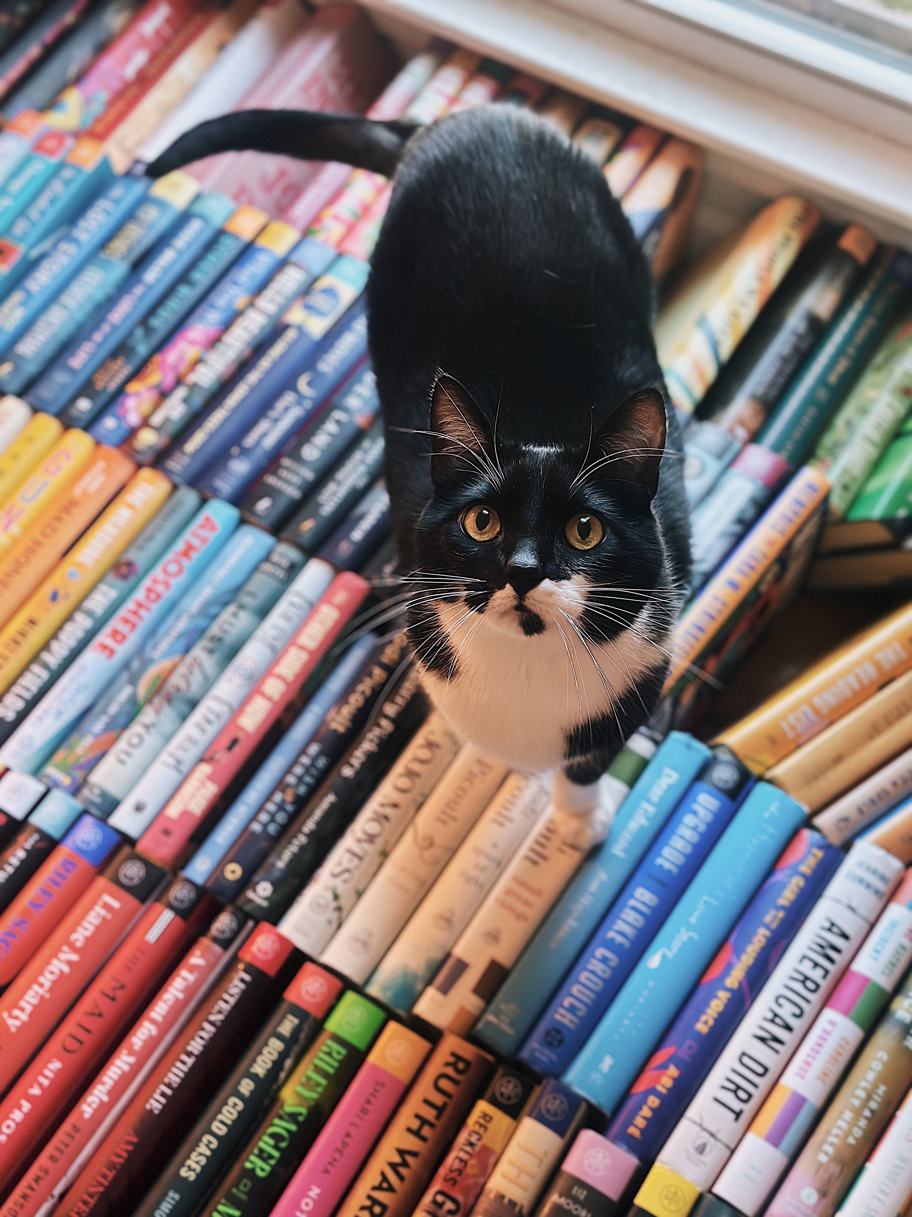Milo
