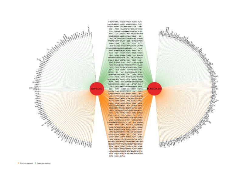 Advanced Analysis Netbid - Download Gorgeous Light Art | 4K
