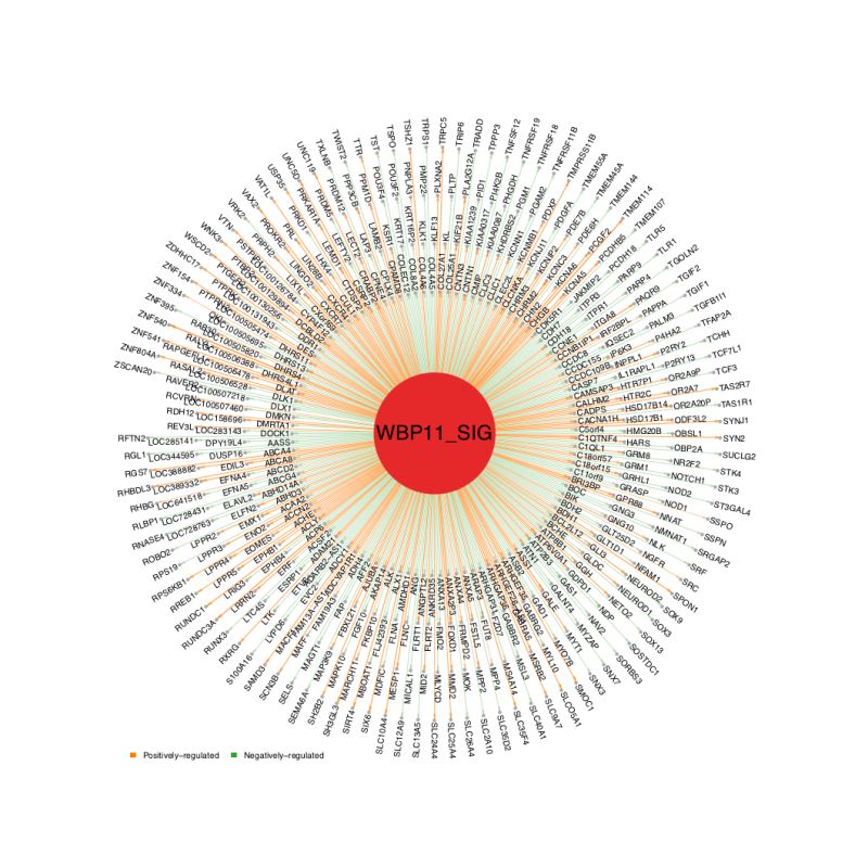 Advanced Analysis Netbid - Download Artistic Nature Design | Mobile
