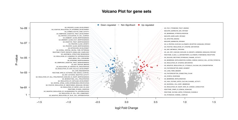 Advanced Analysis Netbid - Professional Ocean Pattern - 4K