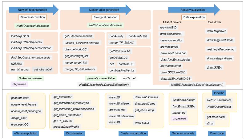User Guide Netbid - Premium Colorful Background Gallery - High Resolution