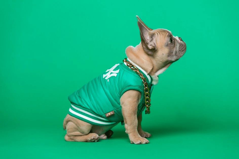 Bespoke Couture for Dogs