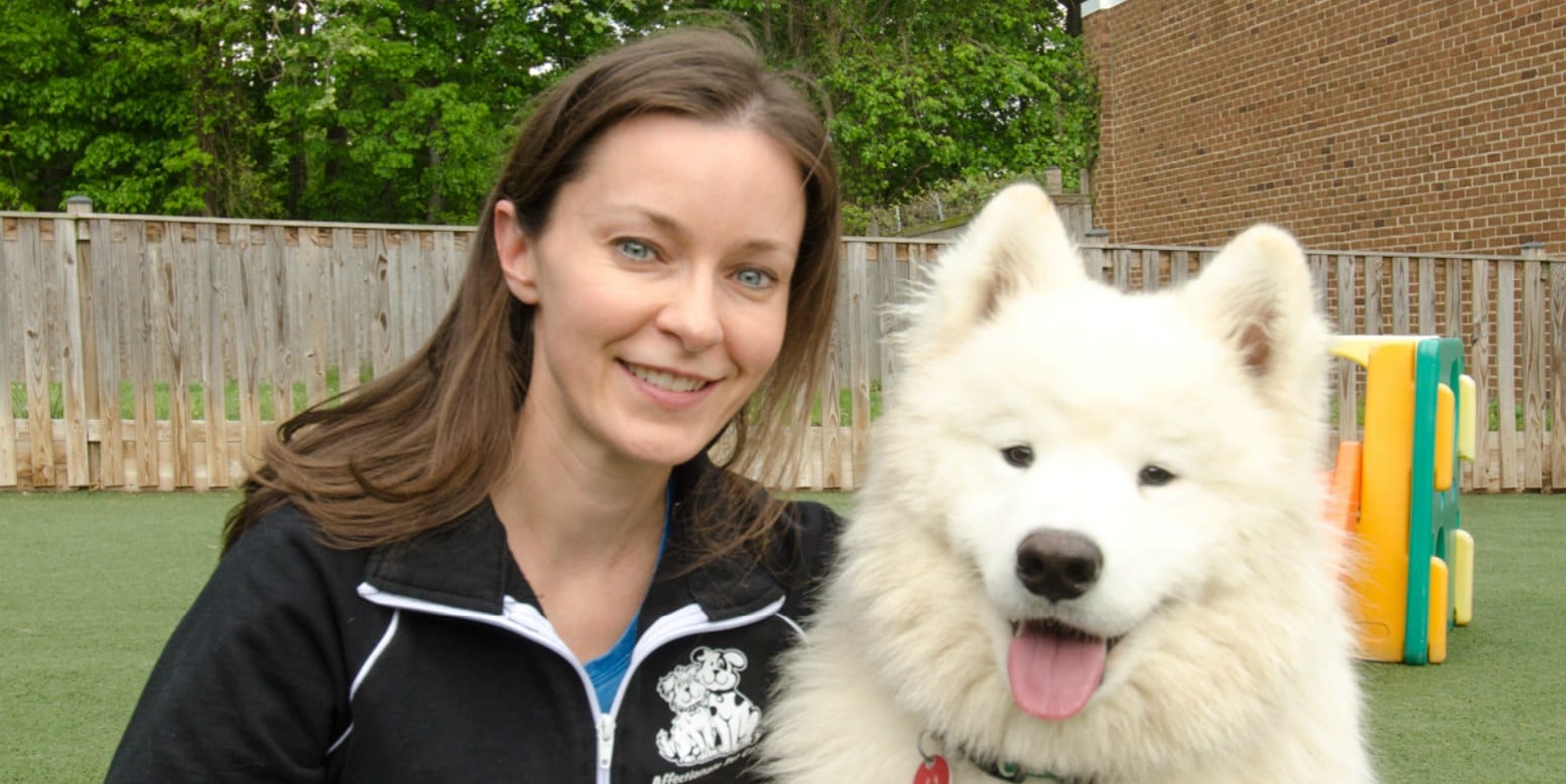 affectionate pet care featured project k9grass by foreverlawn on affectionate pet care jobs